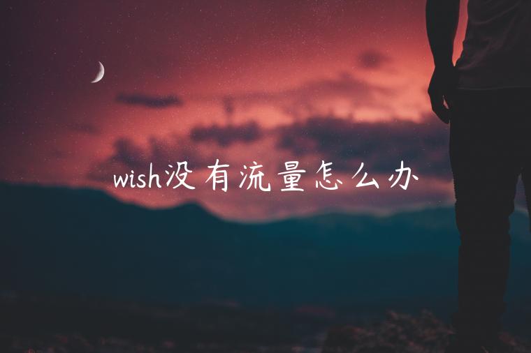 wish沒有流量怎么辦